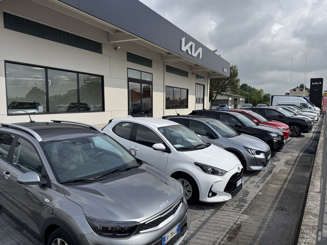 dealer showroom